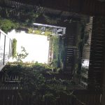 Laubengang im Innenhof