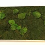 Wandbild in der Praxis